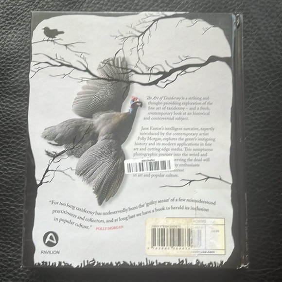 The art of Taxidermy - Picture 6 of 6